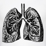  'Anatomy: Lungs'