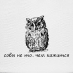 Сова