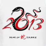Год 2013 Змеи