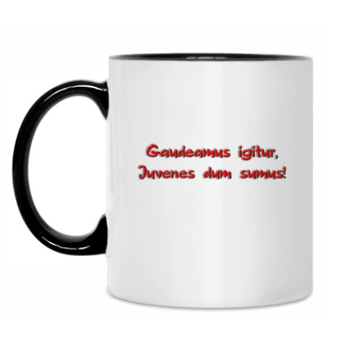 Кружка Итак, будем веселиться, Пока мы молоды!