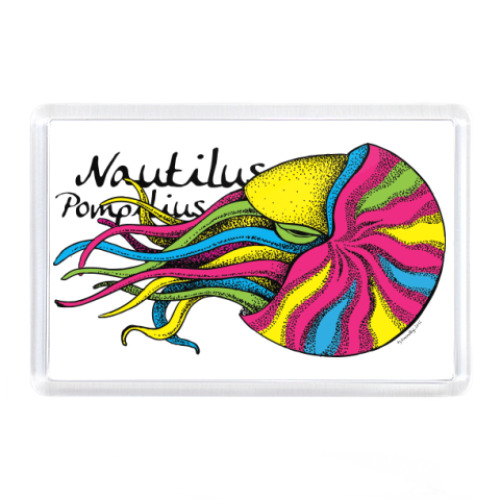 Магнит Nautilus
