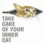 Береги своего  Кота