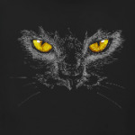 Кот