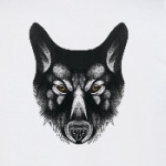 Черный  волк злой взгляд