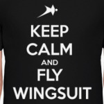 wingsuit skydiving прыжки парашют