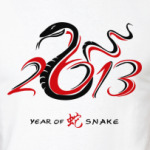 Год 2013 Змеи