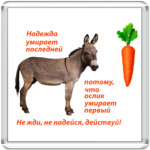 Надежда