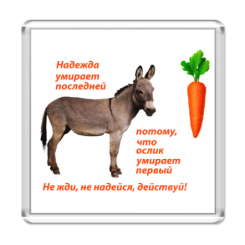 Магнит Надежда