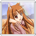  Spice and Wolf