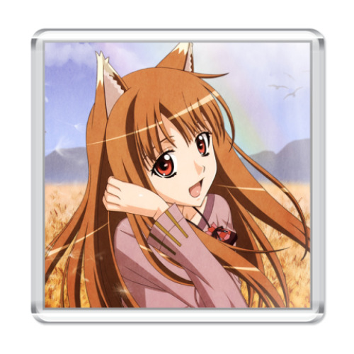 Магнит  Spice and Wolf