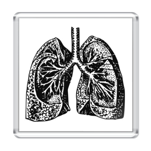 Магнит  'Anatomy: Lungs'