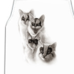 The Kiss kittens