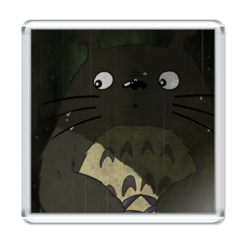 Магнит  Totoro