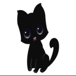 Kitten