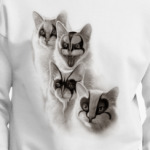 The Kiss kittens