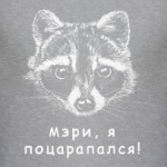 Енот - Мэри, я поцарапался!