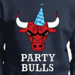 Party Chicago Bulls