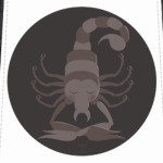 Animal Zen: S is for Scorpion