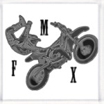 FMX 2