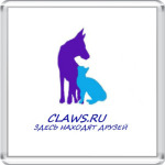 Claws сайт помощи бездомным животным