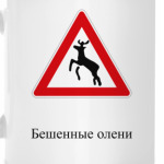 Дорожный знак 1.27