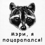 Енот - Мэри, я поцарапался!