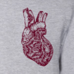 Big Heart Anatomy