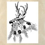 Moonkin