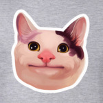Polite Cat meme / Вежливый кот
