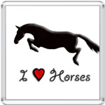  I love horses