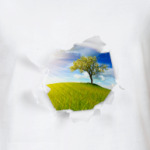 Landscape Frame