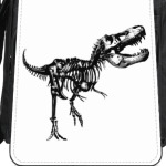 Скелет Динозавра. Тираннозавр. Т-Рекс. T-Rex