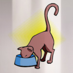 Кошка ест